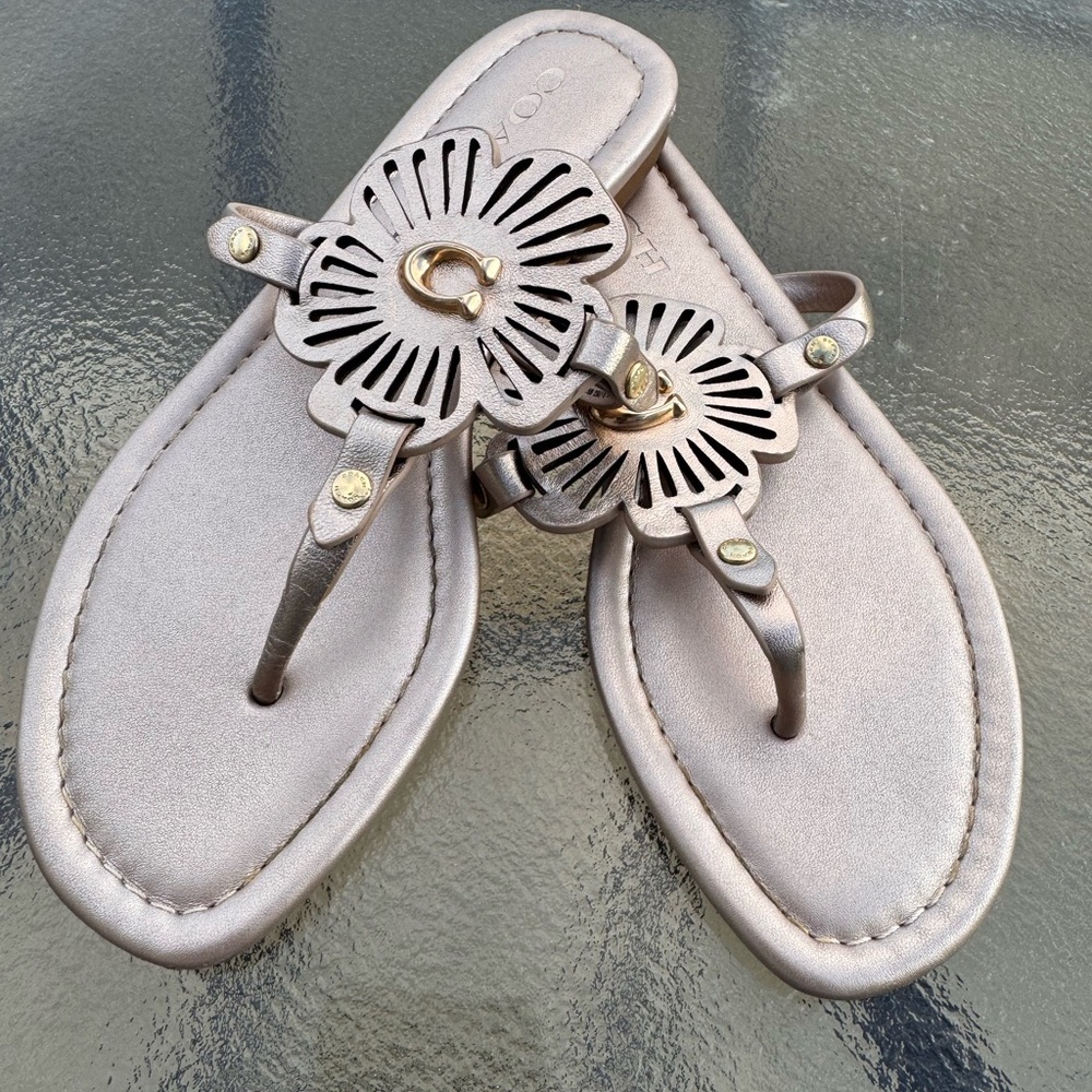 Coach Women's Sandals in Champagne